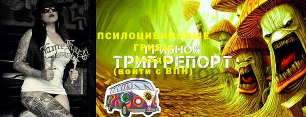 ГАЛЛЮЦИНОГЕННЫЕ ГРИБЫ Краснотурьинск