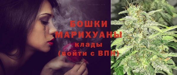 ГАЛЛЮЦИНОГЕННЫЕ ГРИБЫ Краснотурьинск